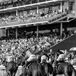 The football may have returned alongside Royal Ascot this week, but did you know that fidgety sports bettors caused the markets to move during the lockdown? Read all about it at TraderLife.co.uk… . #traderlife #trading #markets #business #investing #economy #trader #trade #fx #forex #betting #sports #horseracing #ascot #royalascot Photo by Chris Kendall on Unsplash