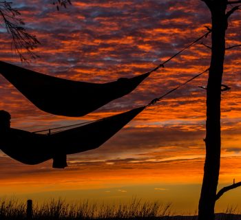 Sleep During Heatwave