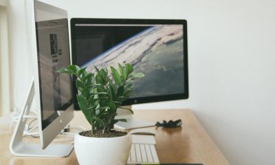 Stay Healthy at Work