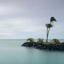 Desert Island Trades
